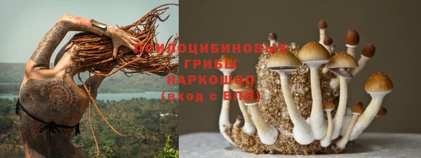 гидра Бугульма