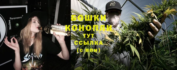 МДПВ Бронницы